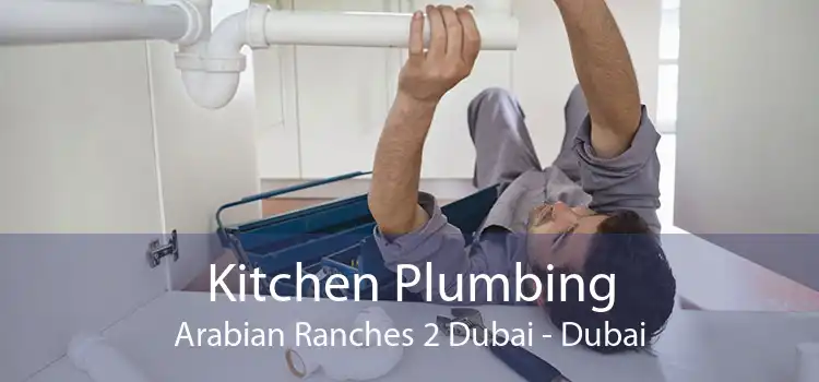Kitchen Plumbing Arabian Ranches 2 Dubai - Dubai