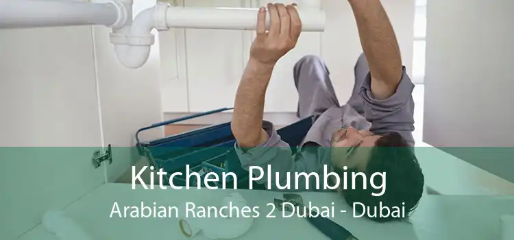 Kitchen Plumbing Arabian Ranches 2 Dubai - Dubai