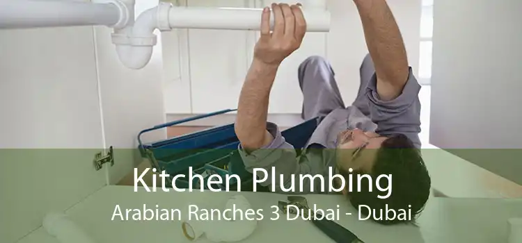 Kitchen Plumbing Arabian Ranches 3 Dubai - Dubai