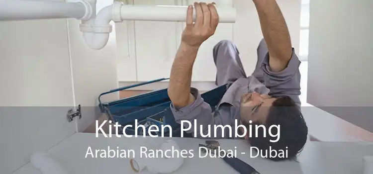 Kitchen Plumbing Arabian Ranches Dubai - Dubai