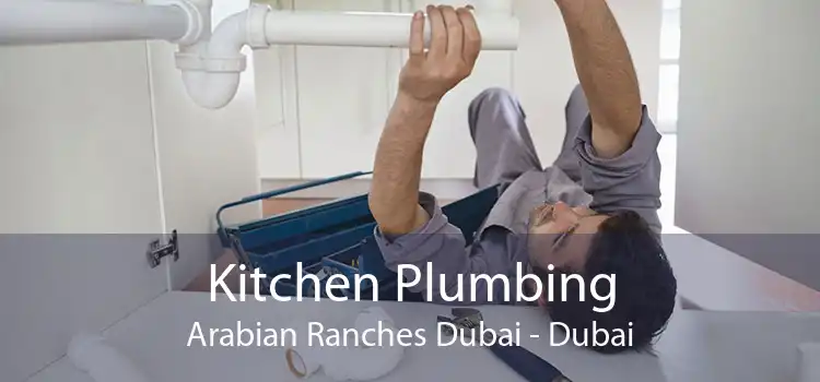 Kitchen Plumbing Arabian Ranches Dubai - Dubai