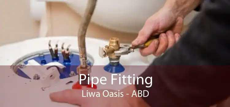 Pipe Fitting Liwa Oasis - ABD