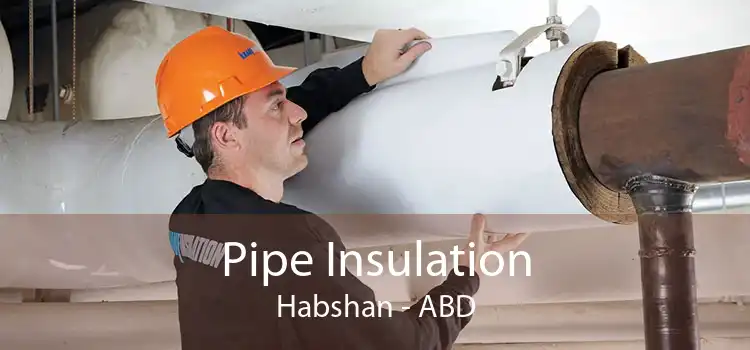 Pipe Insulation Habshan - ABD