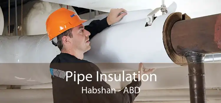 Pipe Insulation Habshan - ABD