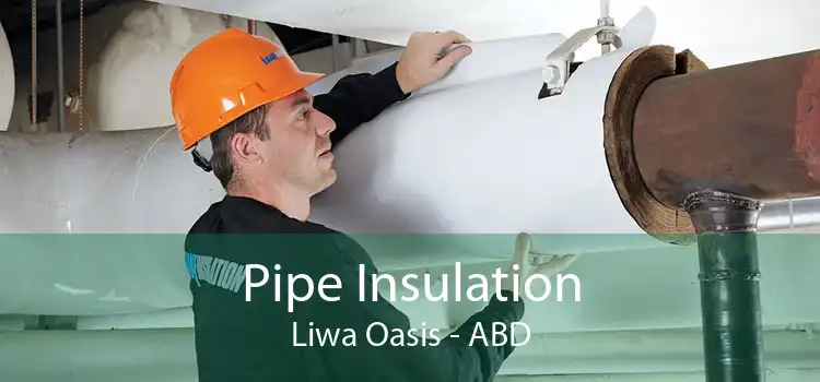 Pipe Insulation Liwa Oasis - ABD