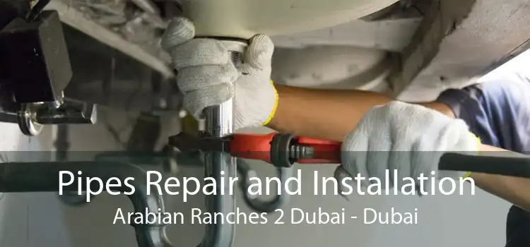 Pipes Repair and Installation Arabian Ranches 2 Dubai - Dubai
