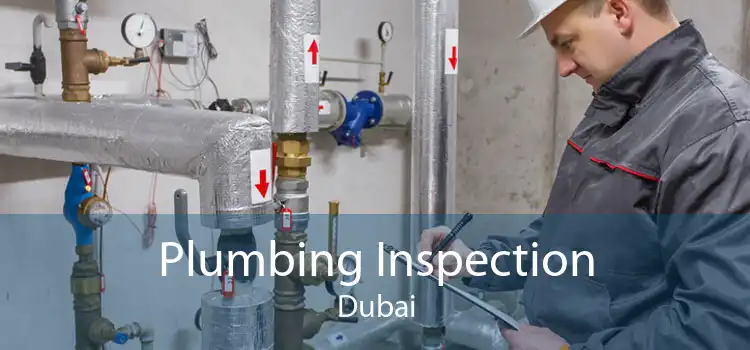 Plumbing Inspection Dubai