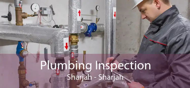 Plumbing Inspection Sharjah - Sharjah