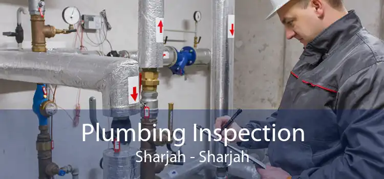 Plumbing Inspection Sharjah - Sharjah