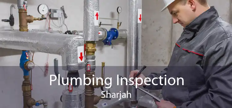 Plumbing Inspection Sharjah