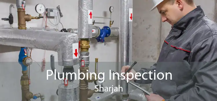 Plumbing Inspection Sharjah