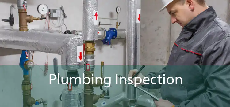 Plumbing Inspection 