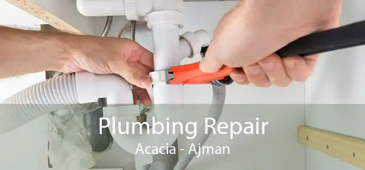 Plumbing Repair Acacia - Ajman