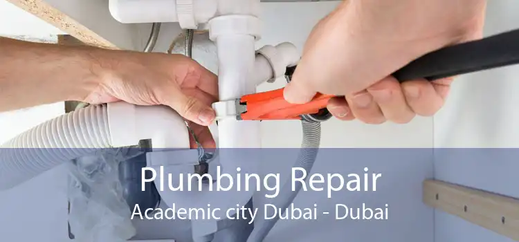 Plumbing Repair Academic city Dubai - Dubai