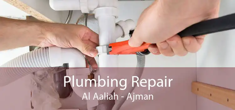 Plumbing Repair Al Aaliah - Ajman