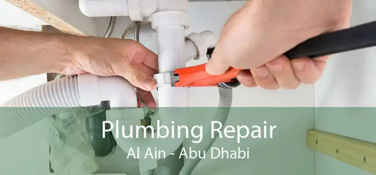 Plumbing Repair Al Ain - Abu Dhabi