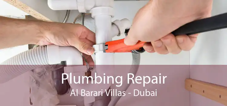 Plumbing Repair Al Barari Villas - Dubai