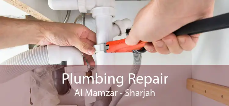 Plumbing Repair Al Mamzar - Sharjah