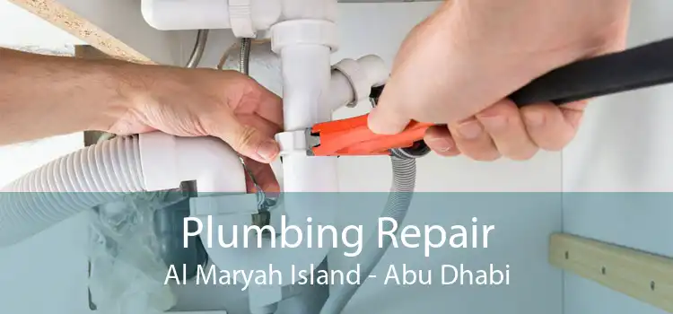 Plumbing Repair Al Maryah Island - Abu Dhabi