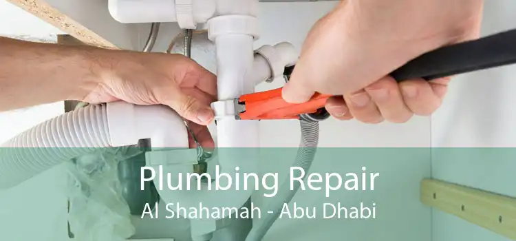 Plumbing Repair Al Shahamah - Abu Dhabi