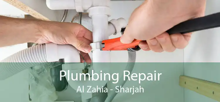 Plumbing Repair Al Zahia - Sharjah