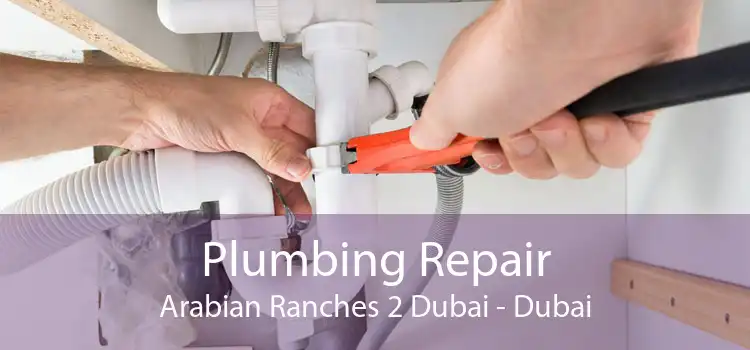 Plumbing Repair Arabian Ranches 2 Dubai - Dubai