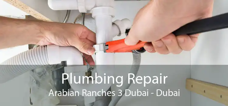 Plumbing Repair Arabian Ranches 3 Dubai - Dubai