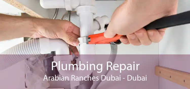 Plumbing Repair Arabian Ranches Dubai - Dubai