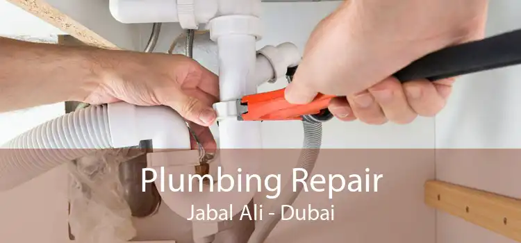 Plumbing Repair Jabal Ali - Dubai