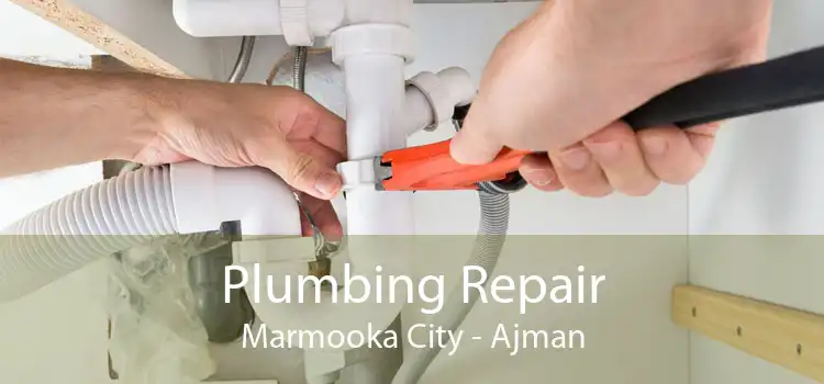 Plumbing Repair Marmooka City - Ajman
