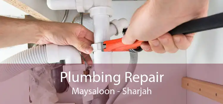 Plumbing Repair Maysaloon - Sharjah