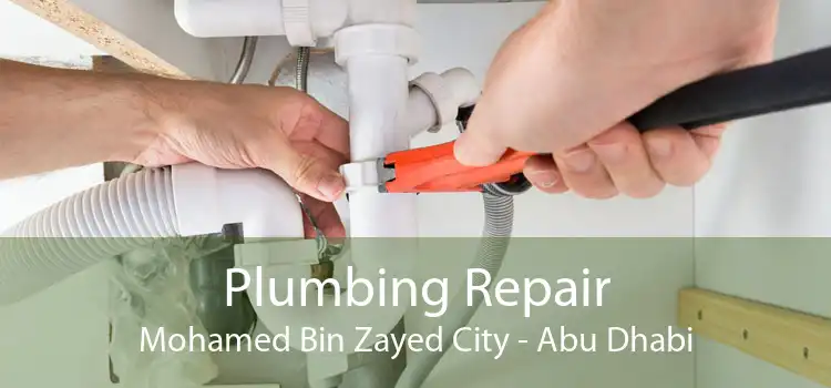 Plumbing Repair Mohamed Bin Zayed City - Abu Dhabi