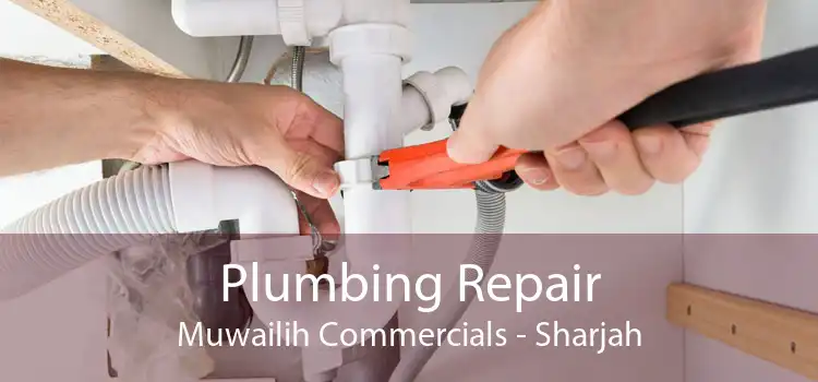 Plumbing Repair Muwailih Commercials - Sharjah
