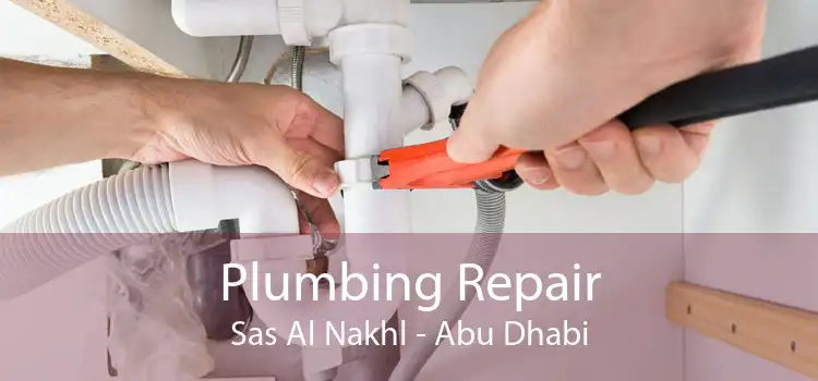 Plumbing Repair Sas Al Nakhl - Abu Dhabi