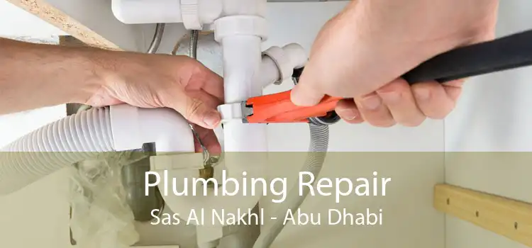 Plumbing Repair Sas Al Nakhl - Abu Dhabi