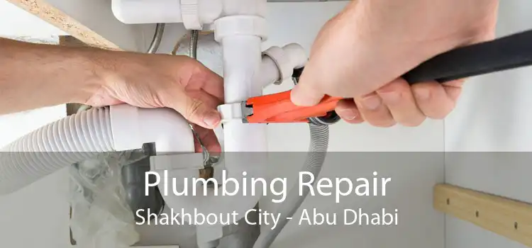 Plumbing Repair Shakhbout City - Abu Dhabi