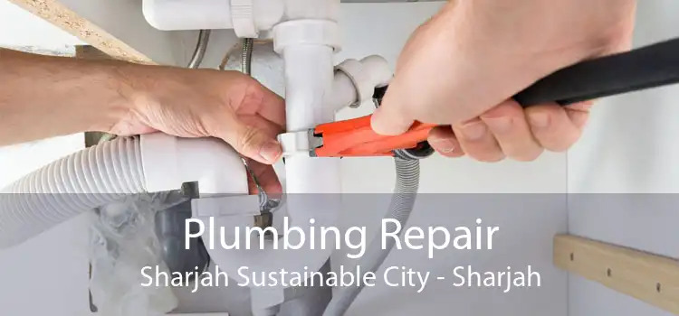 Plumbing Repair Sharjah Sustainable City - Sharjah