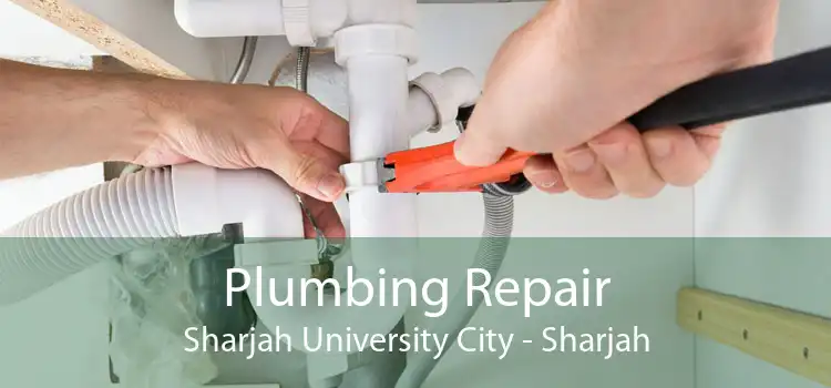 Plumbing Repair Sharjah University City - Sharjah