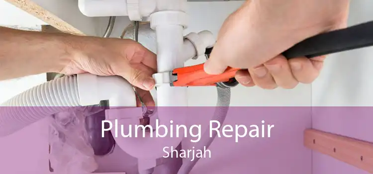 Plumbing Repair Sharjah