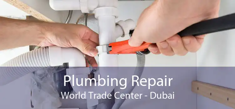 Plumbing Repair World Trade Center - Dubai