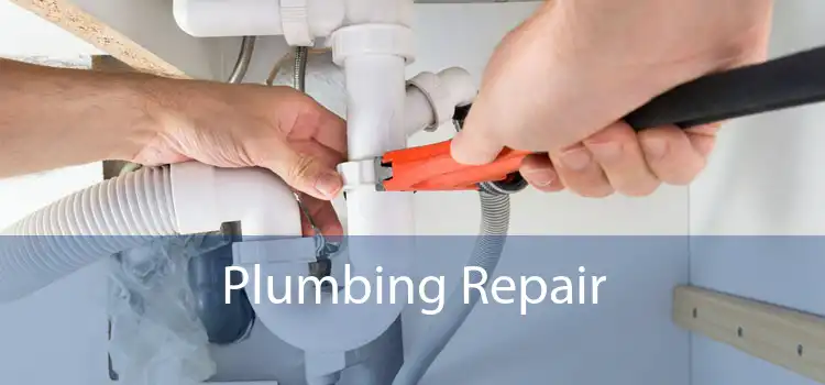 Plumbing Repair 