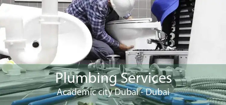 Plumbing Services Academic city Dubai - Dubai