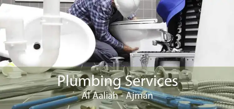 Plumbing Services Al Aaliah - Ajman