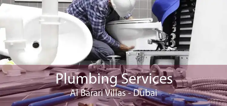 Plumbing Services Al Barari Villas - Dubai