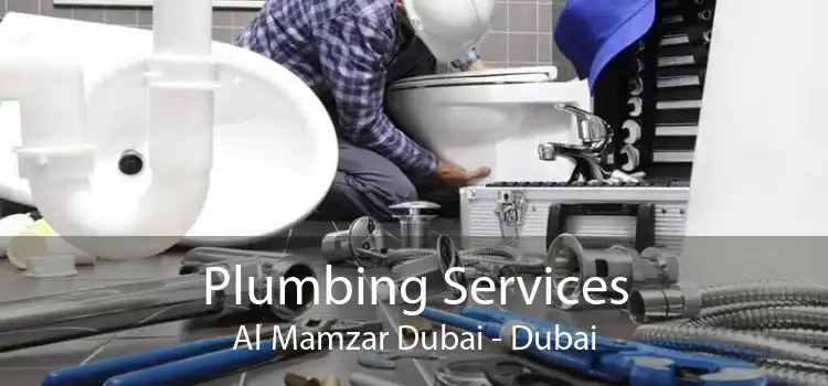 Plumbing Services Al Mamzar Dubai - Dubai
