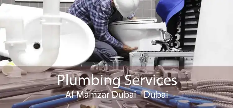 Plumbing Services Al Mamzar Dubai - Dubai