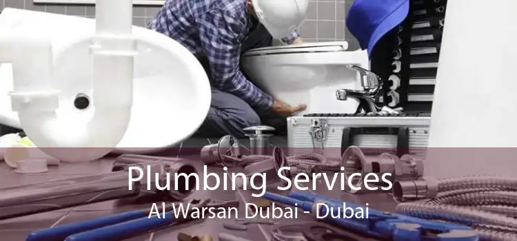 Plumbing Services Al Warsan Dubai - Dubai