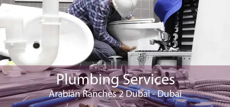 Plumbing Services Arabian Ranches 2 Dubai - Dubai