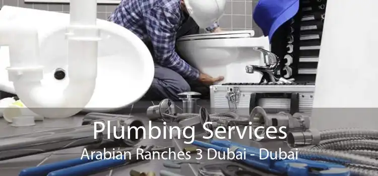 Plumbing Services Arabian Ranches 3 Dubai - Dubai