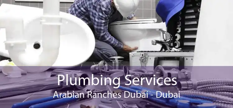 Plumbing Services Arabian Ranches Dubai - Dubai